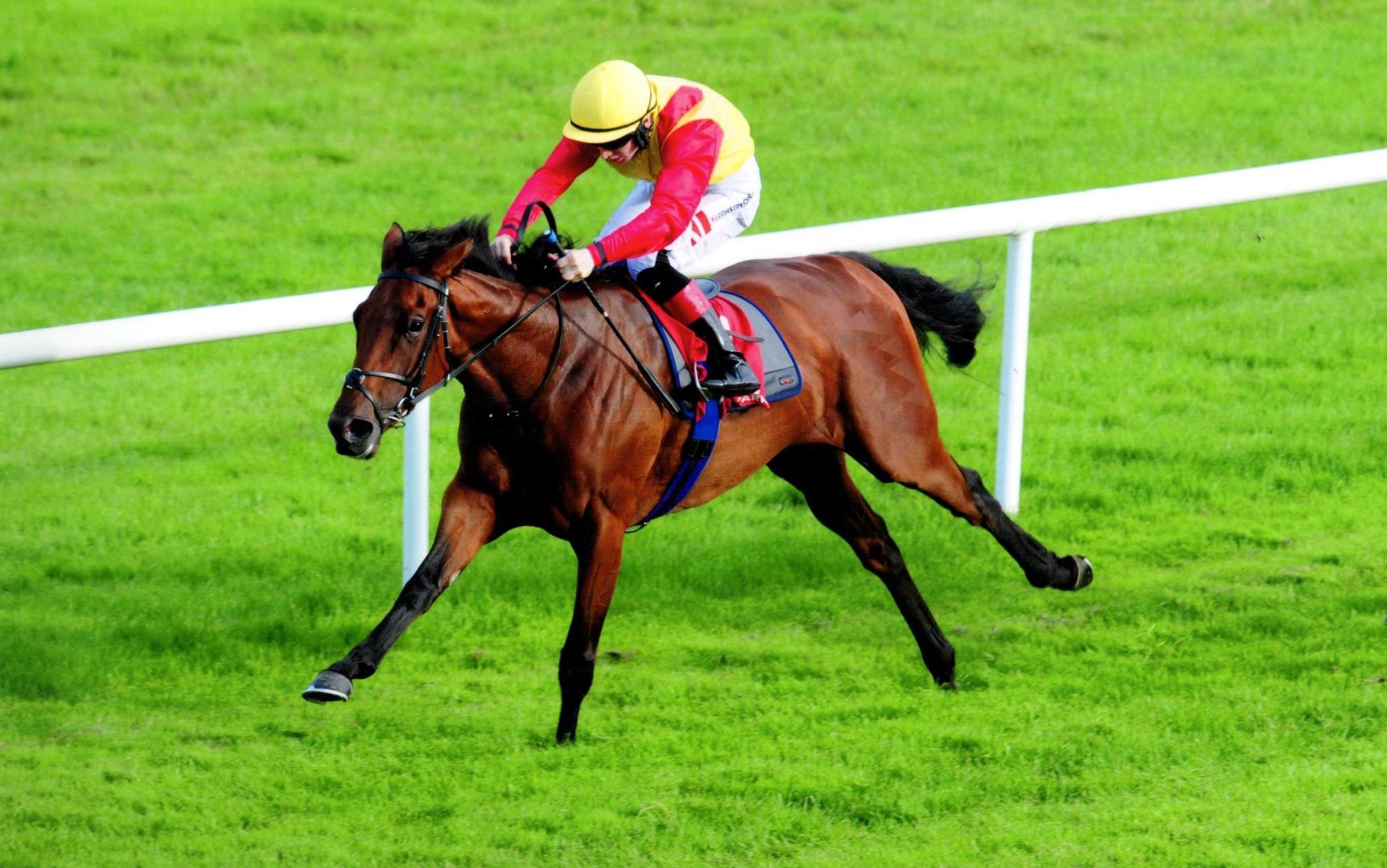 ELEGANT POSE landing her second win of the season at Gowran Park 4th July 2017